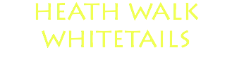 HEATH WALK WHITETAILS
